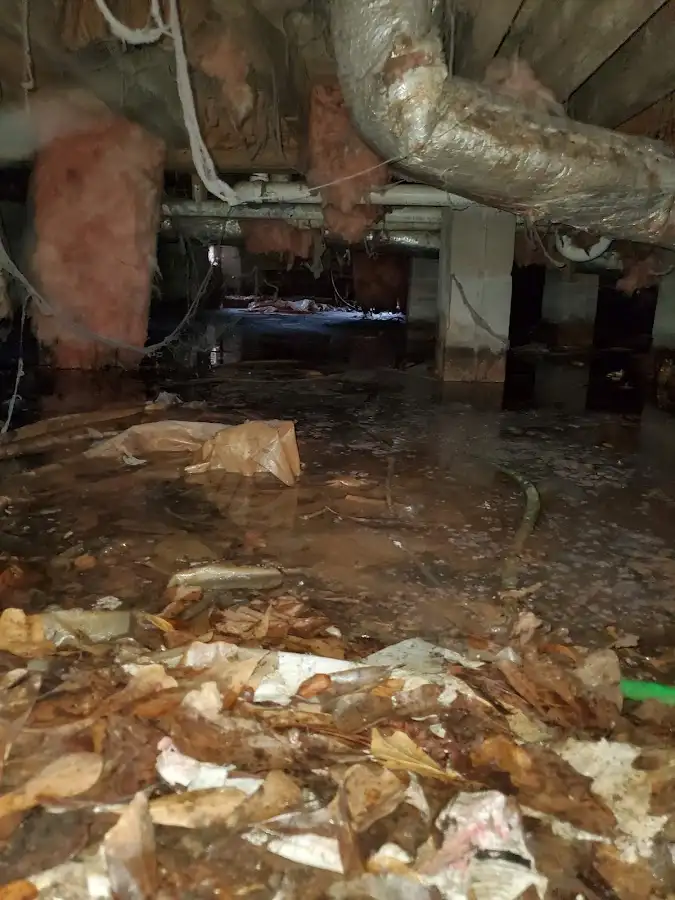 Crawl space flood assessment for Leak Detection & Repair in Harrison